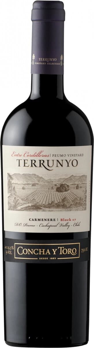Вино Concha y Toro, "Terrunyo" Carmenere